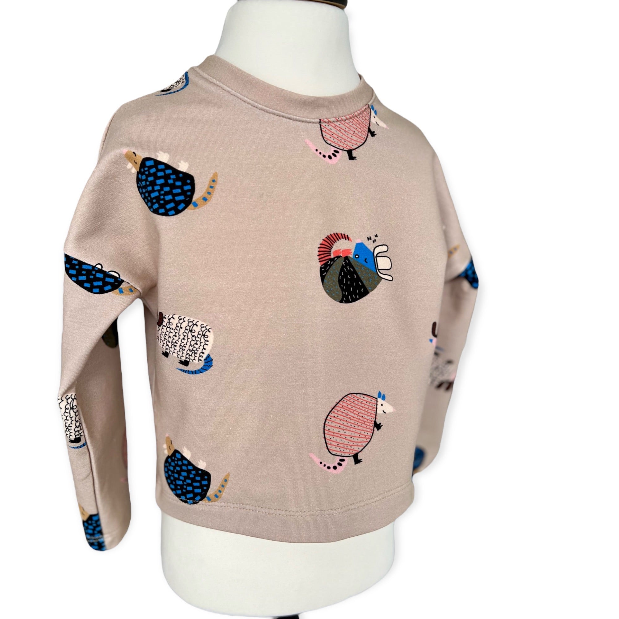 BIO Sweatshirt Gürteltier